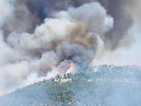 WhatsApp Image 2021-08-16 at 3.57.56 PM.jpeg.jpg